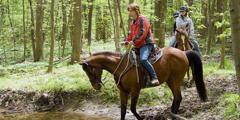 Nantahala Village Bryson City Dış mekan fotoğraf